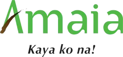 Cebu Real Estate Developer: Amaia Land Cebu